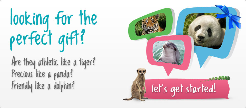 Looking for the perfect gift?