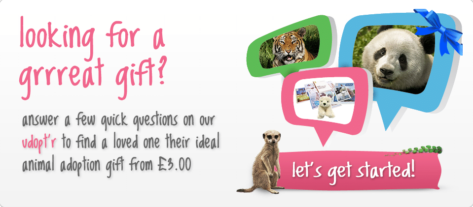 Looking for the perfect gift?
