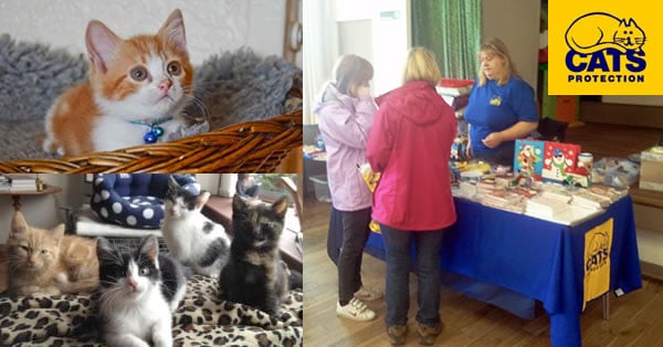Cats Protection win £500 Udopt Prize