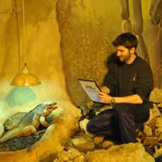 Big Animal Count at Aspinall Foundation