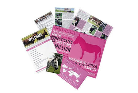 Adopt a Donkey Gift Pack
