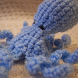 Animals Make World Cup Predictions