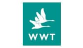 WWT