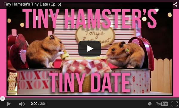 Romantic hamsters