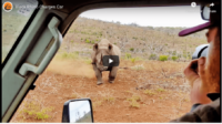 Check Out Footage Of Black Rhino Charge 