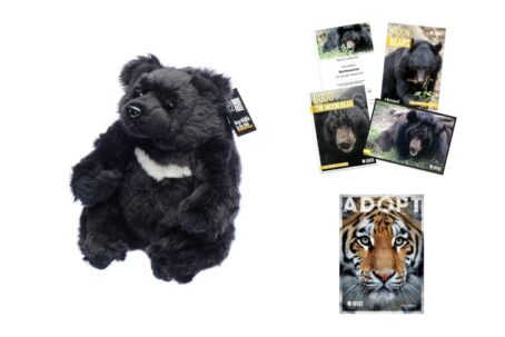 Adopt a Moon Bear